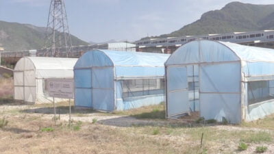 Türkiye’nin seracılıkta önemli noktalarından birisi olan Antalya’da bilim insanları verimi