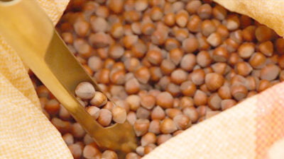 Türkiye, 2023-2024 fındık ihracat sezonunun ilk iki ayında 358 milyon