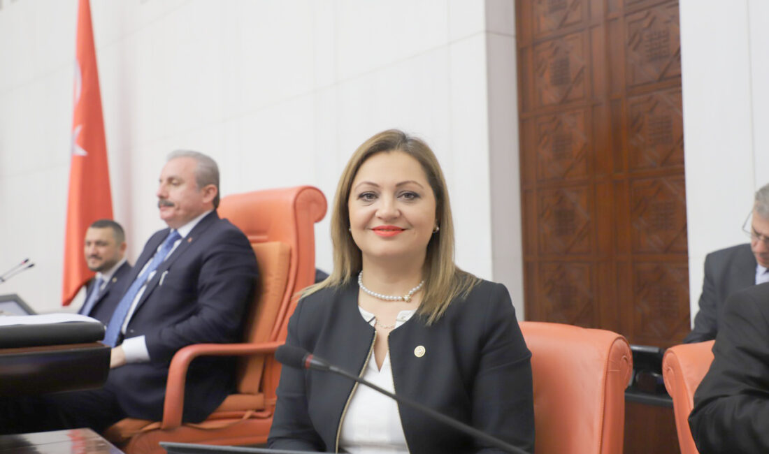 CHP Grup Başkanvekili ve Afyonkarahisar Milletvekili Av. Burcu Köksal, Milli