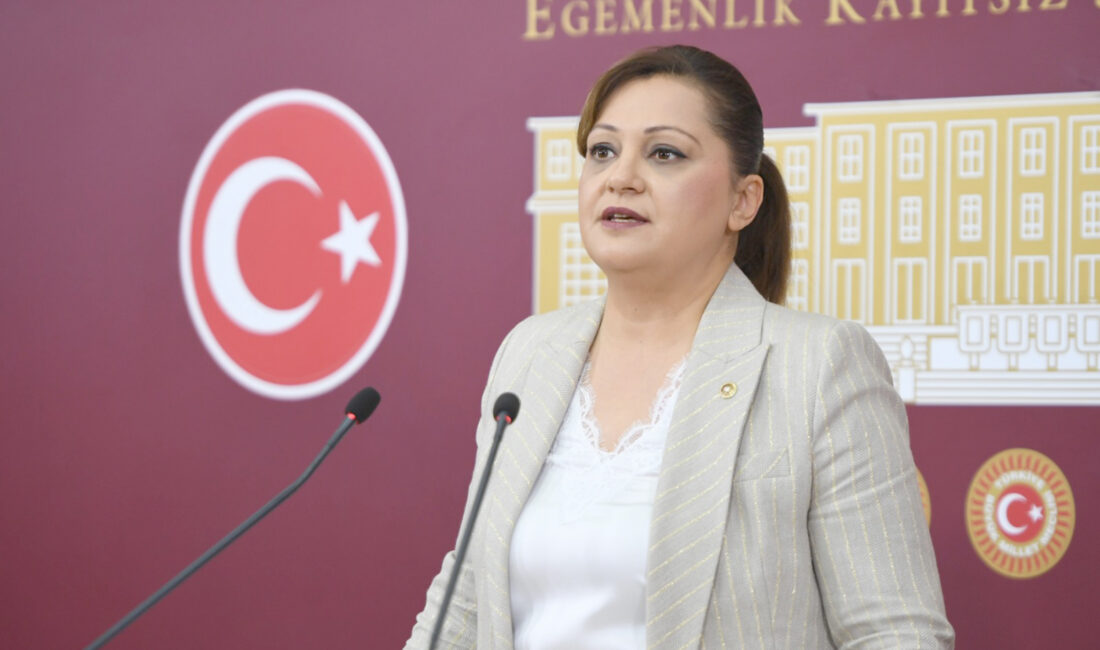Cumhuriyet Halk Partisi (CHP) Grup Başkanvekili Afyonkarahisar Milletvekili Av. Burcu