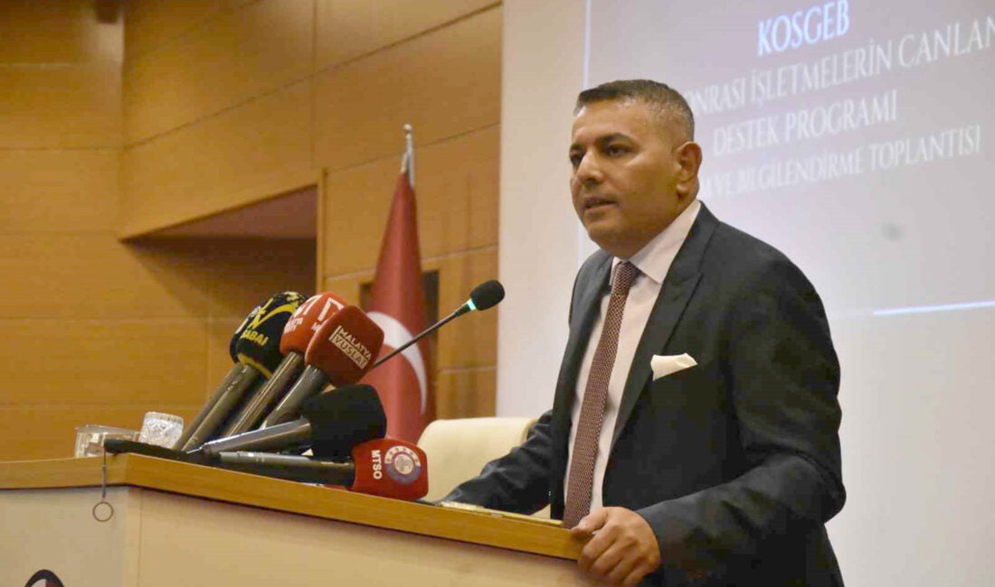 Deprem Sonrası Mikro, Küçük ve Orta Ölçekli İşletmelerin Canlanması Destek