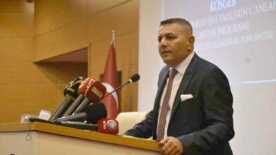 Deprem Sonrası Mikro, Küçük ve Orta Ölçekli İşletmelerin Canlanması Destek