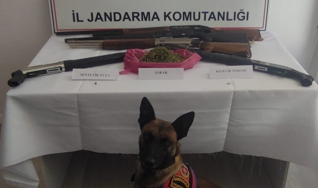 Afyonkarahisar’da uyuşturucu satışı yaptığı iddia edilen şahsın evine jandarma tarafından