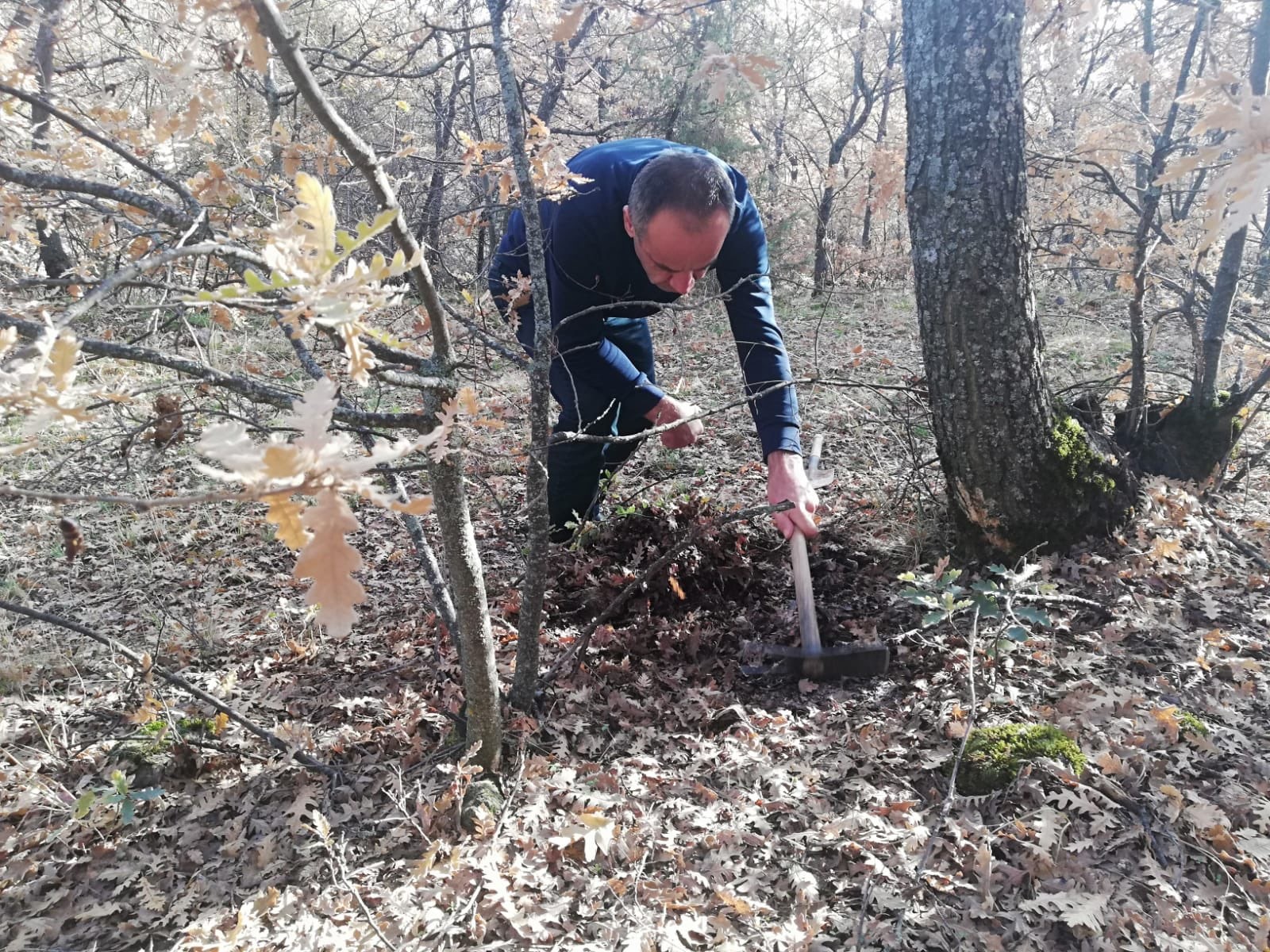 Afyonkarahisar Tarım ve Orman Müdürlüğüne bağlı ekipler tarafından faydalı ve
