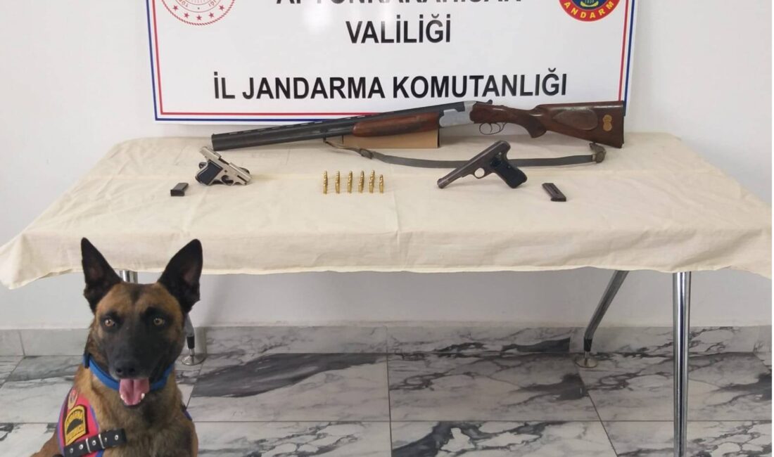 Afyonkarahisar’da uyuşturucu yetiştirdikleri öne sürülen şahısların adreslerine yapılan baskında ruhsatsız