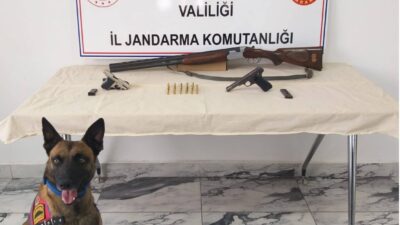 Afyonkarahisar’da uyuşturucu yetiştirdikleri öne sürülen şahısların adreslerine yapılan baskında ruhsatsız