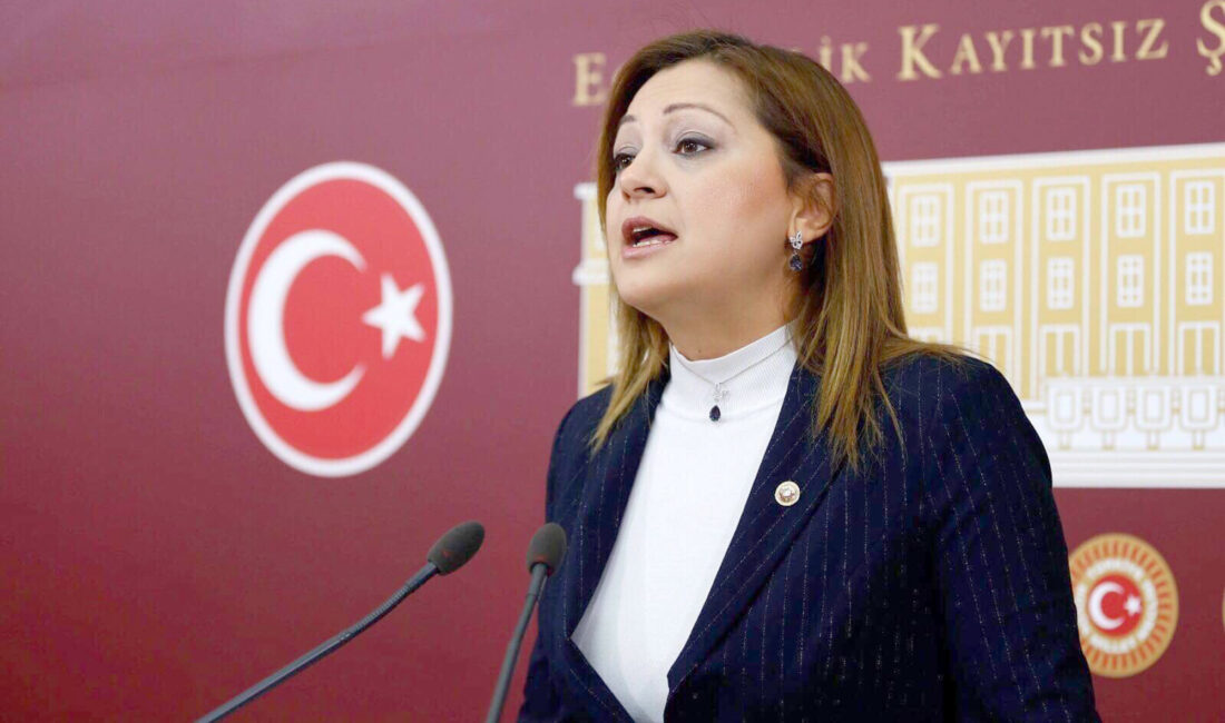 Cumhuriyet Halk Partisi (CHP) Grup Başkanvekili ve Afyonkarahisar Milletvekili Av.