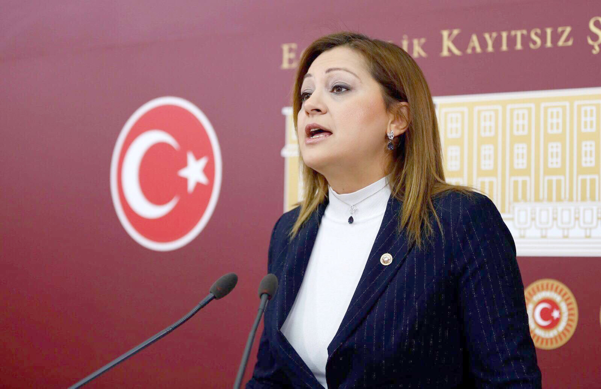 Cumhuriyet Halk Partisi (CHP) Grup Başkanvekili ve Afyonkarahisar Milletvekili Av.