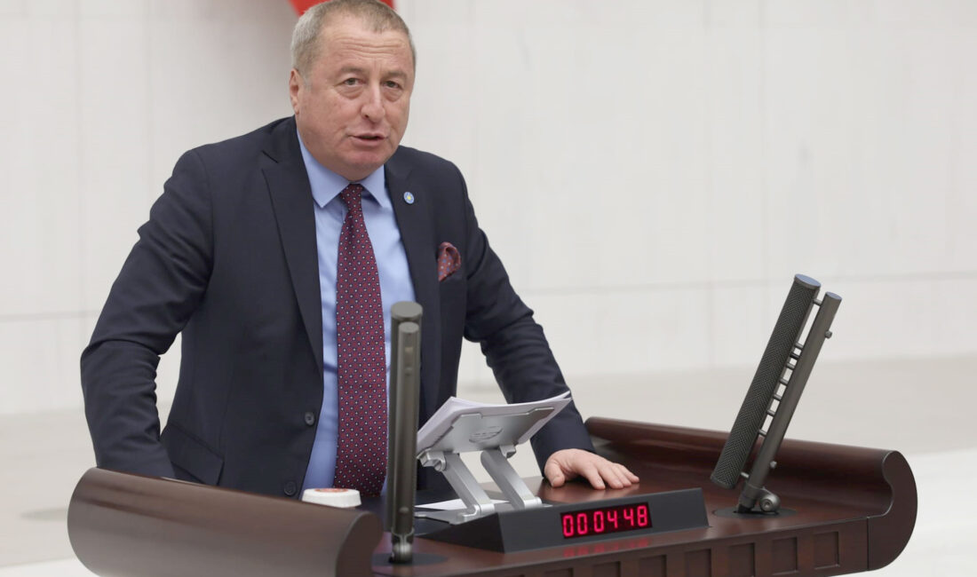 İYİ Parti Hukuk ve Seçim İşlerinden Sorumlu Genel Başkan Yardımcısı