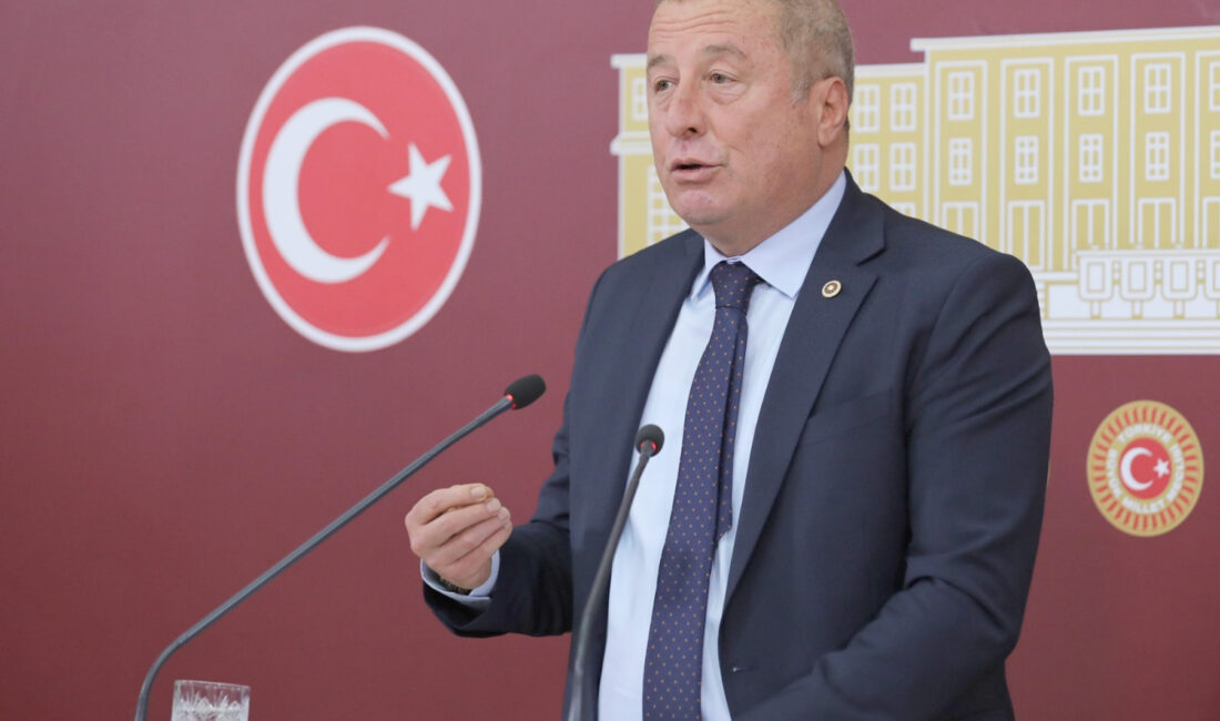İYİ Parti Hukuk ve Seçim İşleri’nden Sorumlu Genel Başkan Yardımcısı