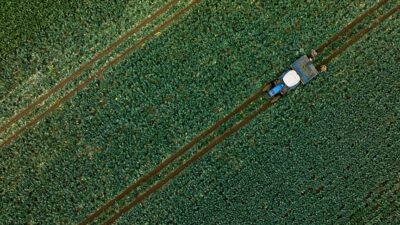 Tarım Ürünleri Üretici Fiyat Endeksi (Tarım ÜFE) kasımda bir önceki