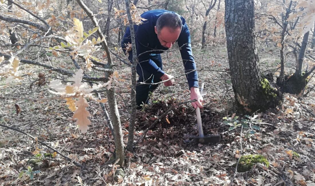Afyonkarahisar Tarım ve Orman Müdürlüğüne bağlı ekipler tarafından faydalı ve