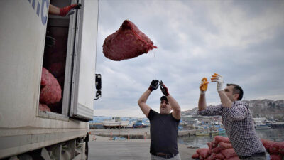 Doğu Karadeniz İhracatçılar Birliği Yönetim Kurulu Başkan Yardımcısı Ahmet Hamdi