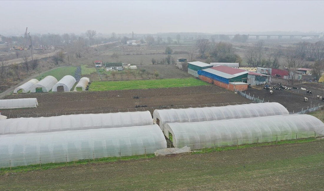 Tarım ve Orman Bakanlığı Bitkisel Üretim Genel Müdürlüğünce yürütülen “Alternatif