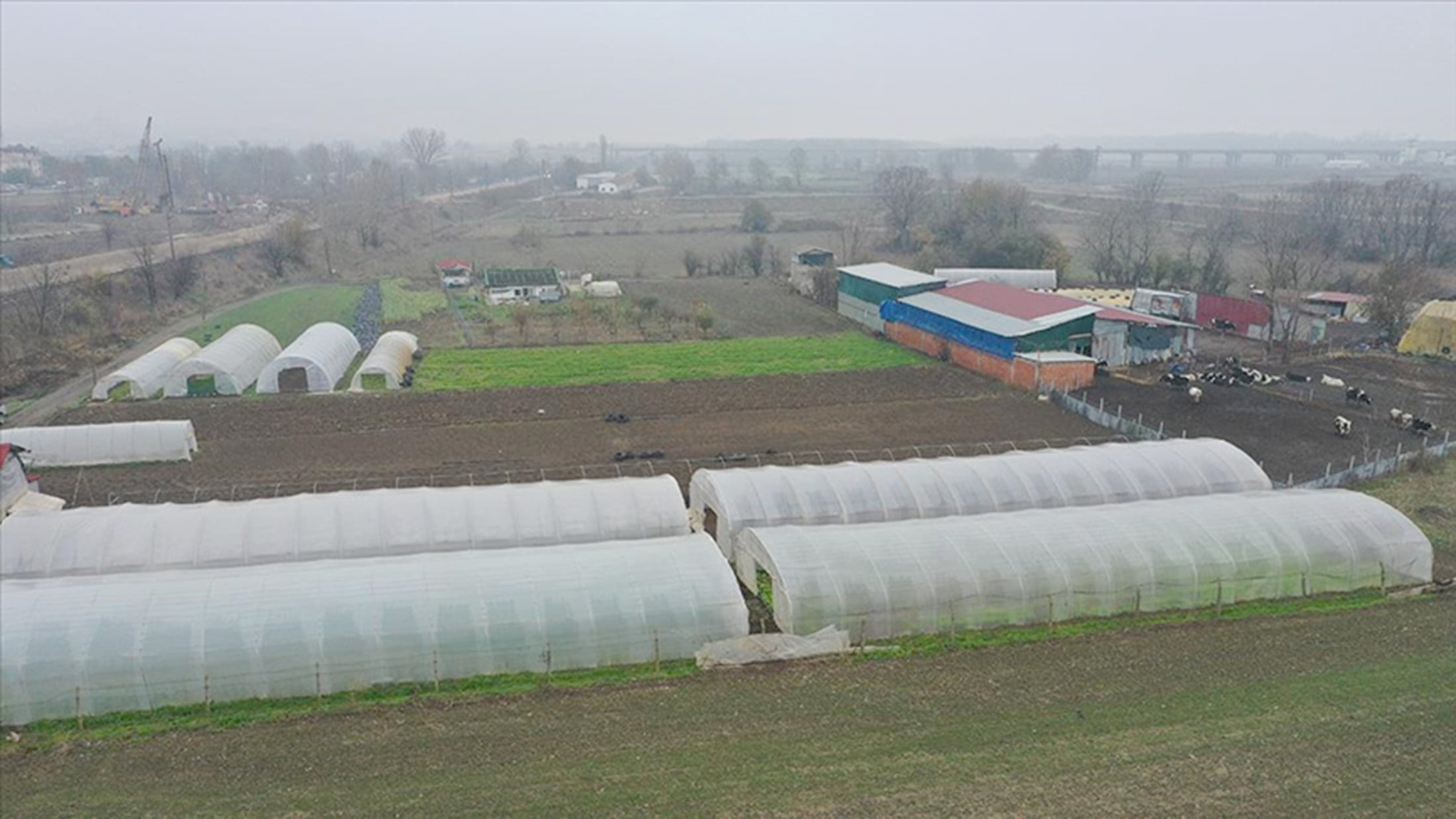 Tarım ve Orman Bakanlığı Bitkisel Üretim Genel Müdürlüğünce yürütülen “Alternatif