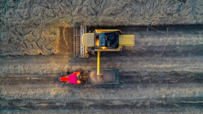 Dünyada hububat üretimi ve taşınmasına ilişkin tartışmalar, savaşlar ve çatışmaların