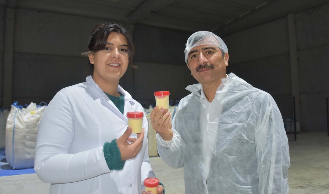 Afyonkarahisar’ın Emirdağ ilçesinde kurulan tesise getirilen kırık ya da tarihi