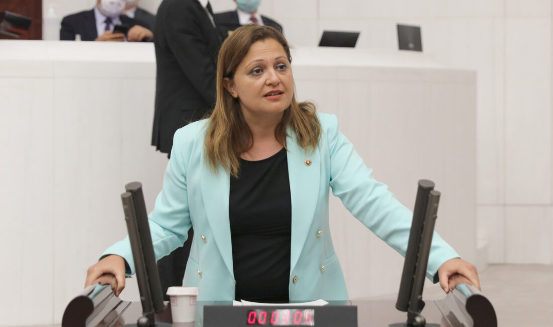 Cumhuriyet Halk Partisi (CHP) Grup Başkanvekili ve Afyonkarahisar Milletvekili Av.