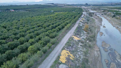 Adana’nın Kozan ilçesinde bahçede 30 kuruşa satılan Enter Donat cinsi