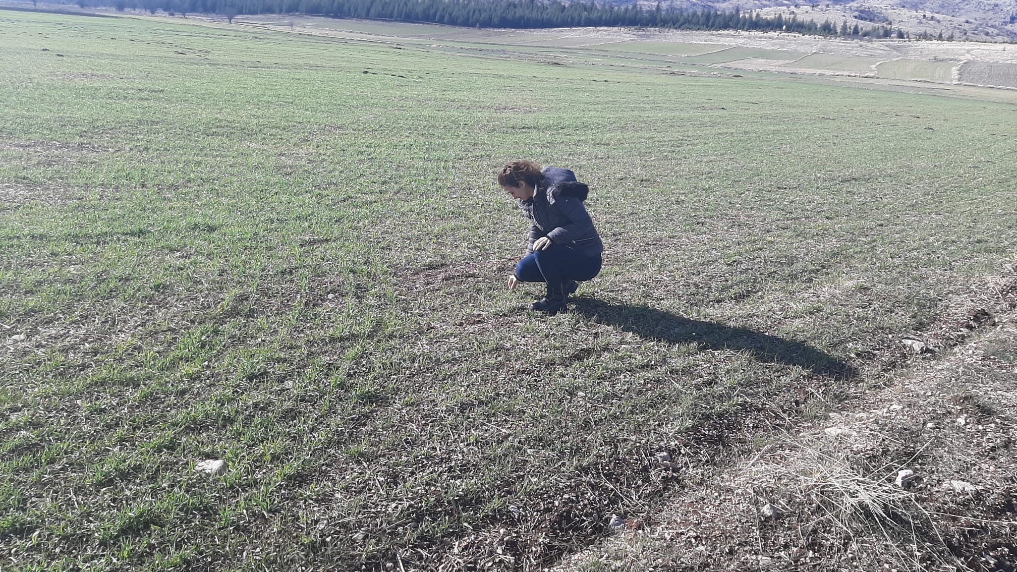 Afyonkarahisar Kızılöğren Tarım ve Orman İlçe Müdürlüğü ekipleri çiftçilere yönelik