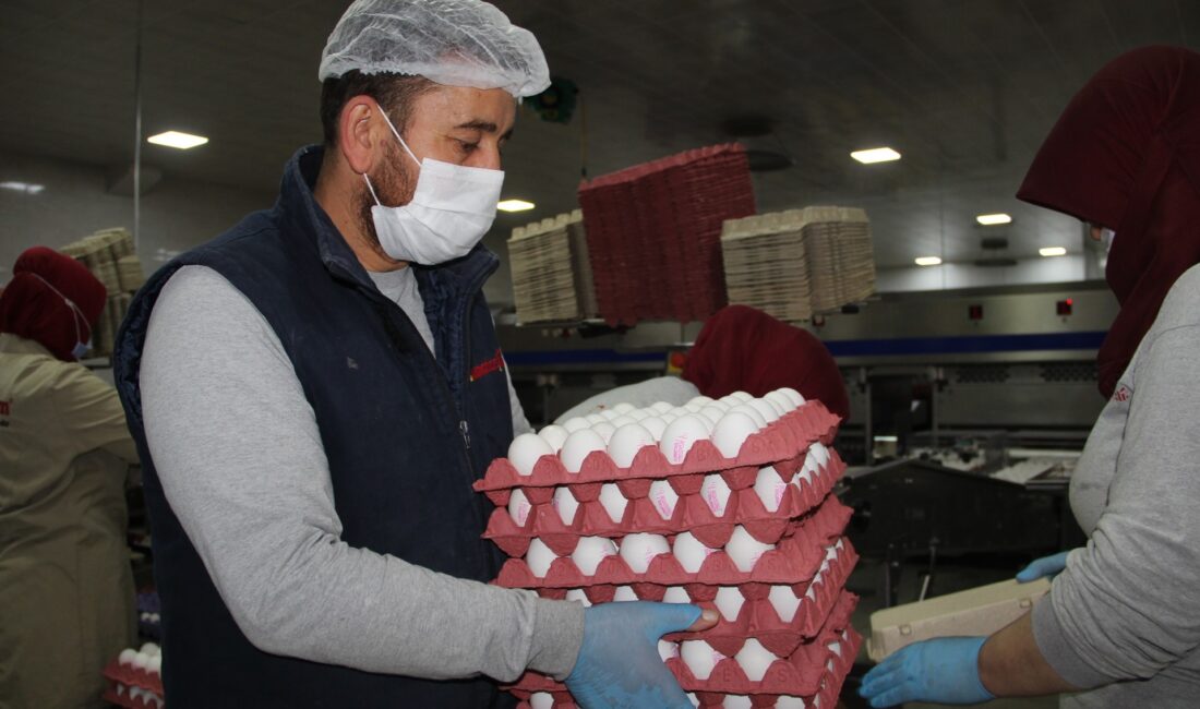 Üreticiler yumurta fiyatlarının yükselmesinden aracıları sorumlu tuttu Yurt genelinde yumurta fiyatlarının yükselişe geçmesinin ardından gözlerin çevrildiği ve