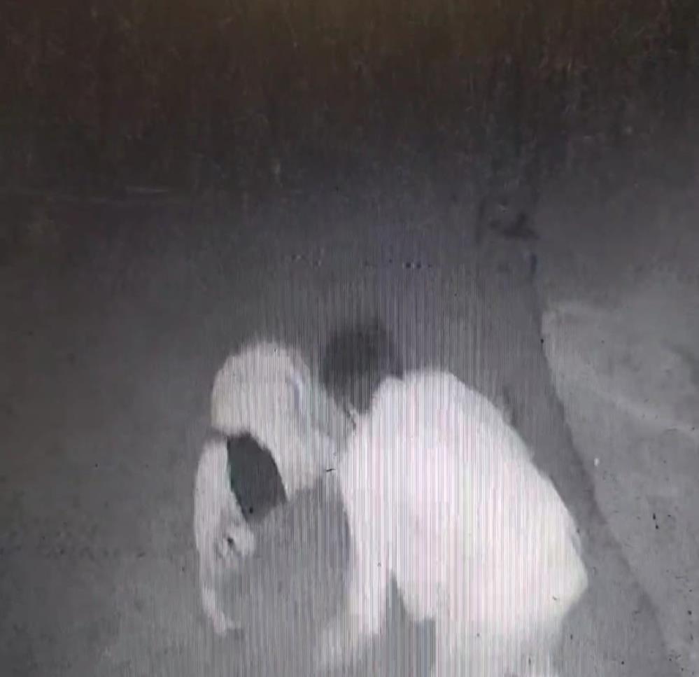 İzmir’in Karabağlar ilçesinde çıkan kavgada bir kişinin göğsünden bıçaklanarak hayatını