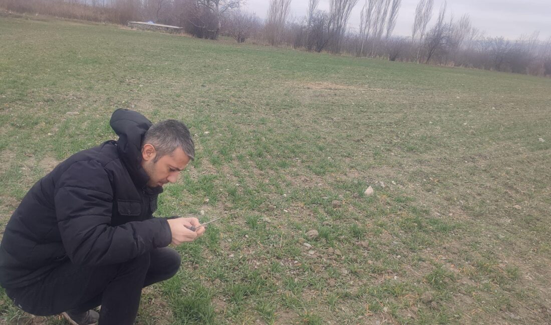 Afyonkarahisar’da çiftçilere yönelik bilgilendirme toplantısı gerçekleştirilirken aynı zamanda hububat ekili