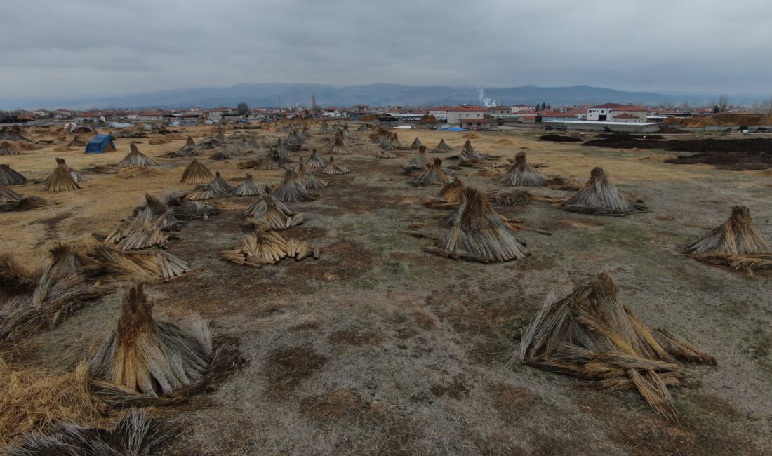 Yıl içerisinde beklenen yağışların zamanında gerçekleşmemesi, Kayseri Sultan Sazlığı Kuş