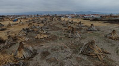 Yıl içerisinde beklenen yağışların zamanında gerçekleşmemesi, Kayseri Sultan Sazlığı Kuş