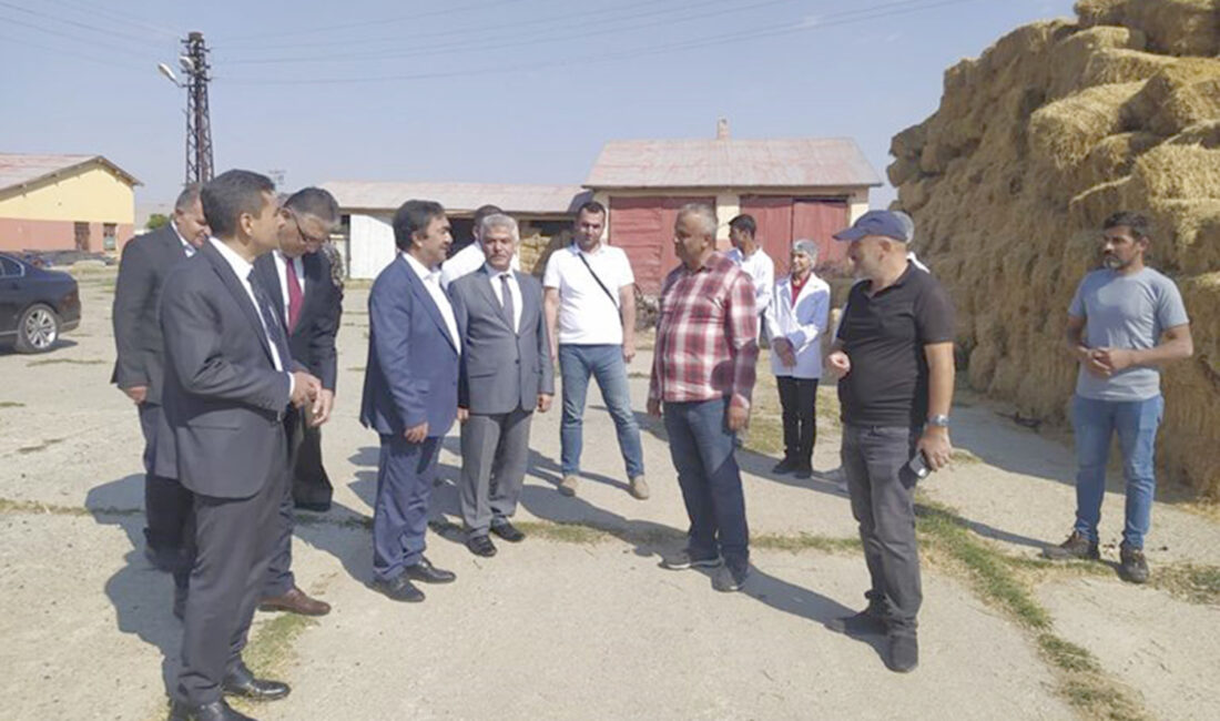 15 ilin kalkınmasını hızlandırma ve projelere destek olmak için kurulan