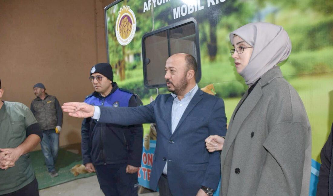 Dazkırı ilçesinde sokak hayvanlarının kısırlaştırma ve aşılama çalışmaları yapılıyor. Dazkırı