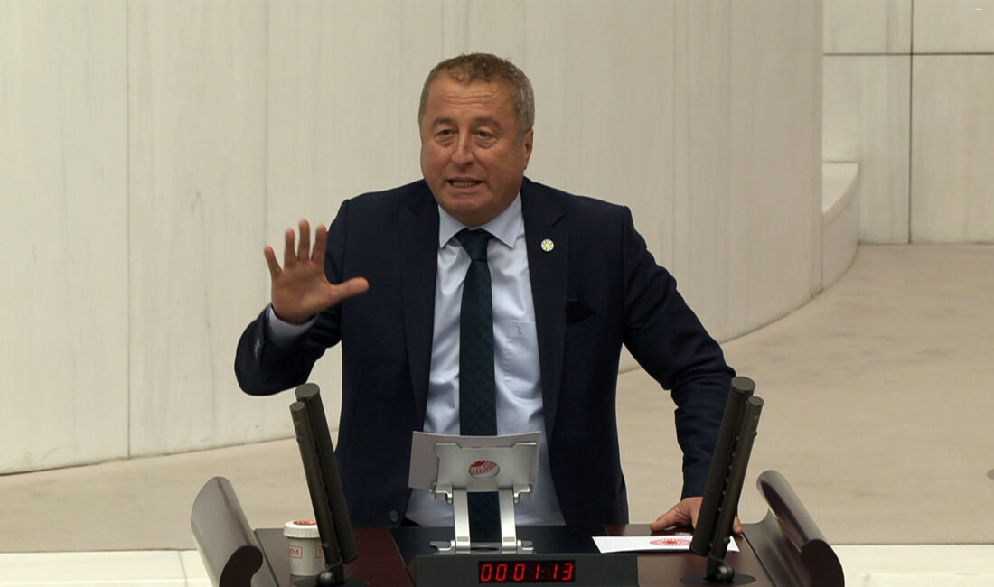 İYİ Parti Hukuk ve Seçim İşlerinden Sorumlu Genel Başkan Yardımcısı,