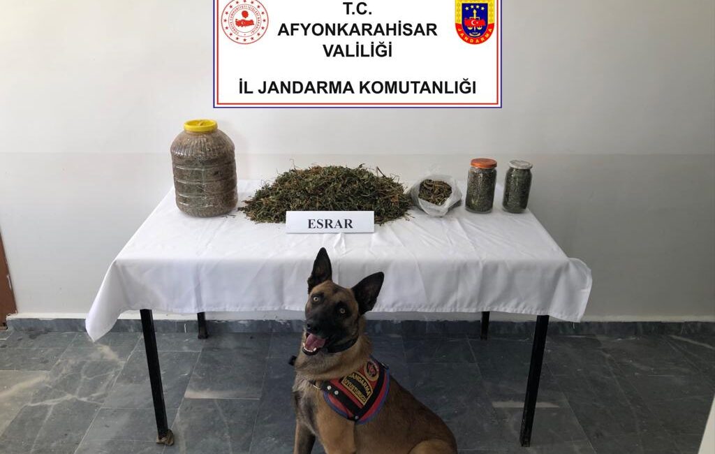 Afyonkarahisar İl Jandarma Komutanlığı Kaçakçılık ve Organize Suçlarla Mücadele Şube