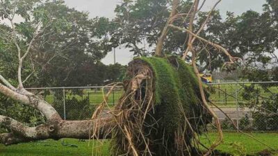 AVUSTRALYA'NIN DOĞUSUNDAKİ QUEENSLAND EYALETİNİ VURAN KİRRİLY FIRTINASI NEDENİYLE 64 BİN