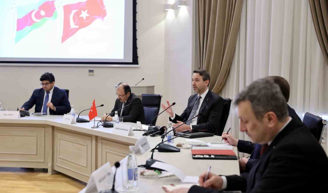 ENERJİ VE TABİİ KAYNAKLAR BAKANI ALPARSLAN BAYRAKTAR, AZERBAYCAN ENERJİ BAKANI