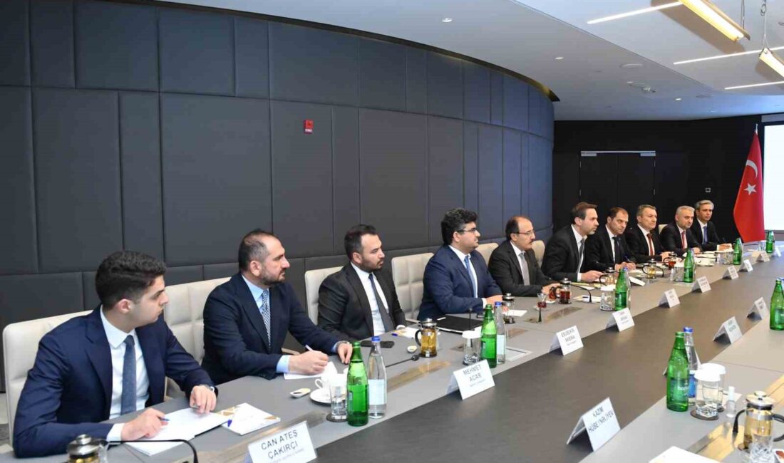 ENERJİ VE TABİİ KAYNAKLAR BAKANI BAYRAKTAR, AZERBAYCAN EKONOMİ BAKANI CABBAROV