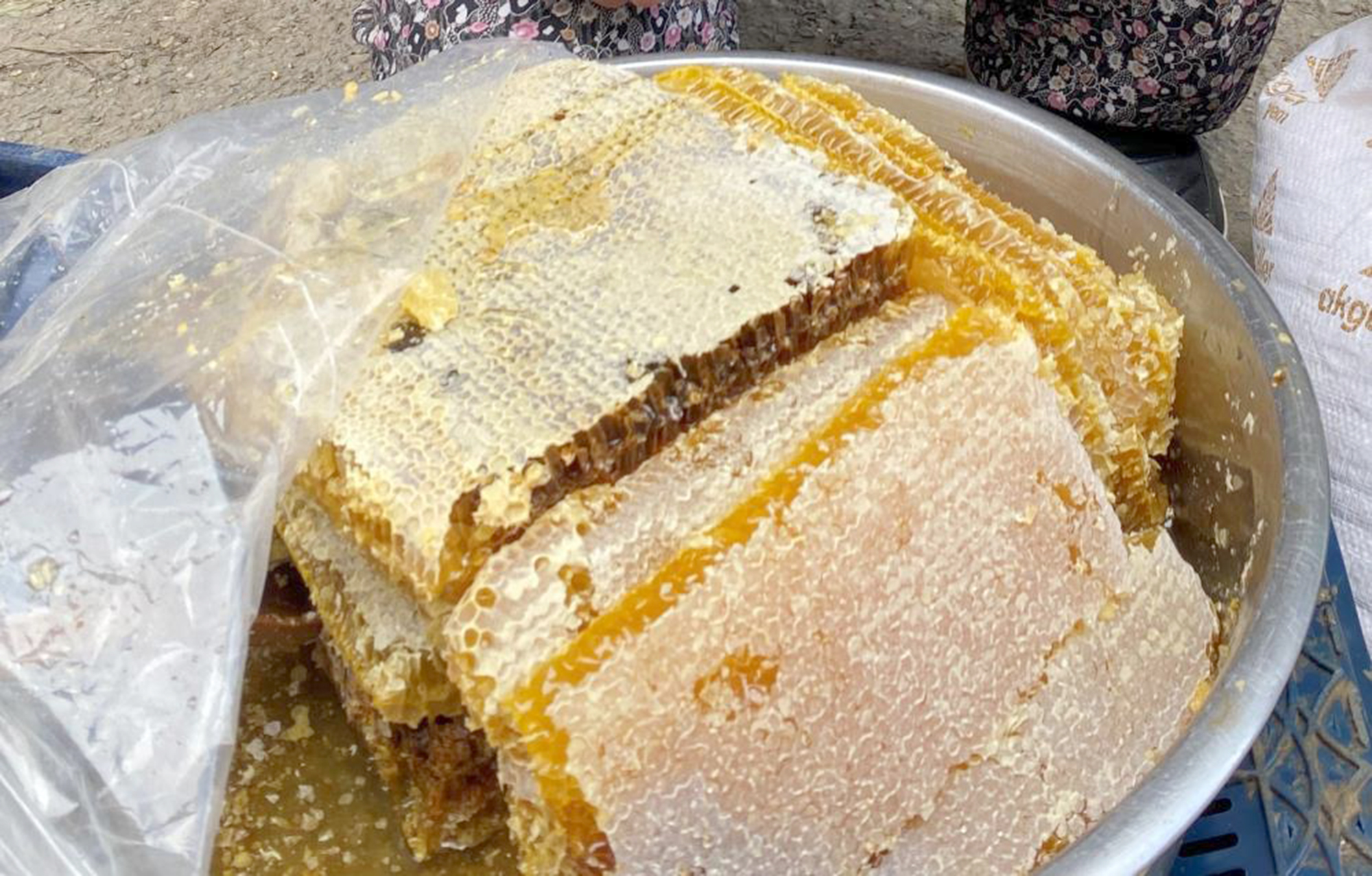 Manisa’nın Alaşehir ilçesinde geçen yıla göre bal rekoltesinde yaşanan düşüş