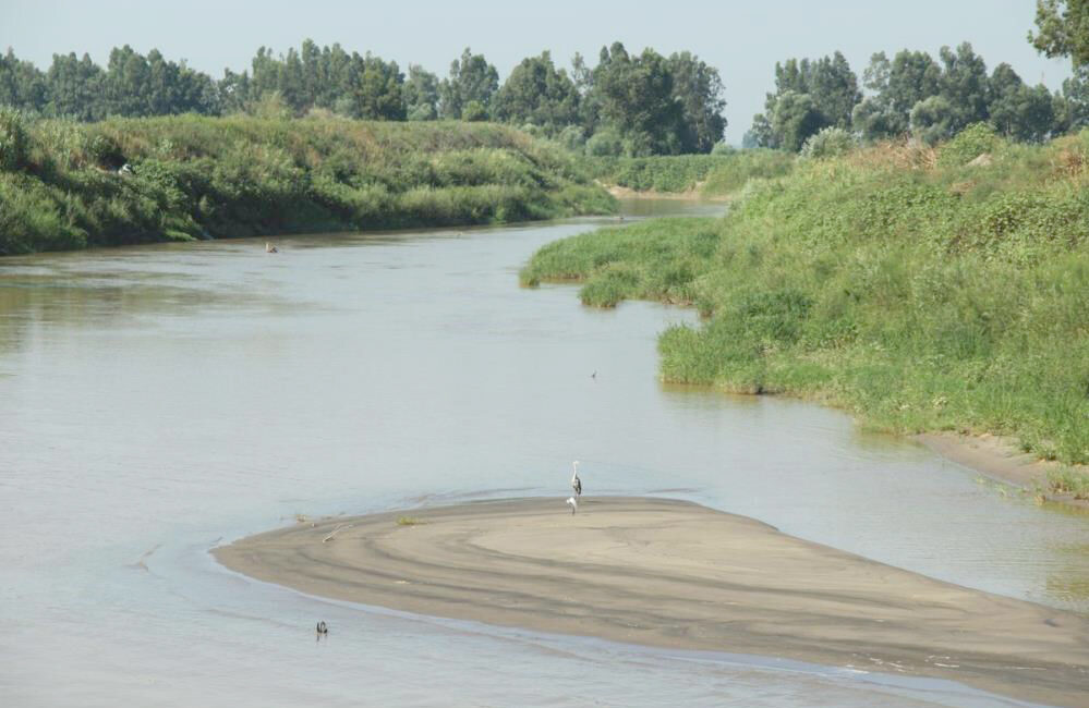 Aydın tarımının can damarlarından olan Büyük Menderes Nehri, çevresel ve