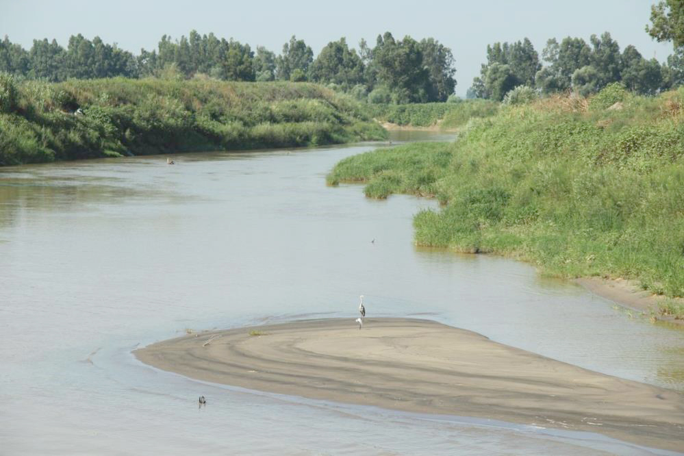 Aydın tarımının can damarlarından olan Büyük Menderes Nehri, çevresel ve