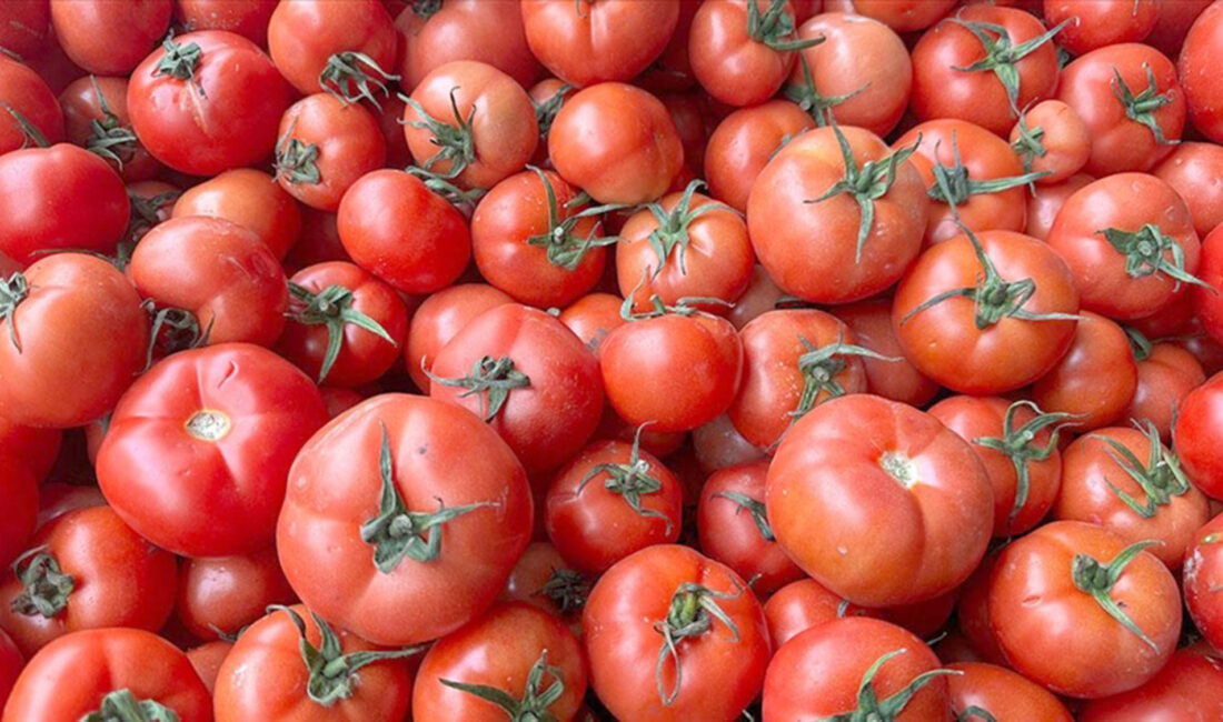 Çorum'da pazar esnafı tezgahındaki domatesleri Belediye Başkanı'na kızarak çöpe döktü.