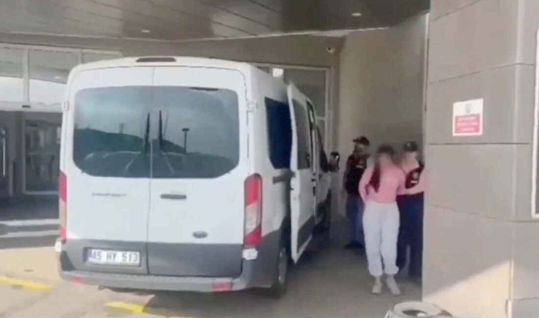 İçişleri Bakanı Ali Yerlikaya, “Ödeme Sistemleri ve Bilişim”, “Yasa Dışı