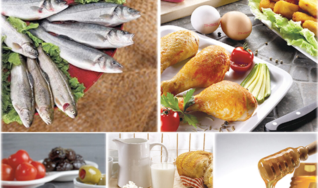 İnsanlığın üç öğün protein ihtiyacını karşılamak için var gücüyle çalışan