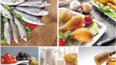 İnsanlığın üç öğün protein ihtiyacını karşılamak için var gücüyle çalışan