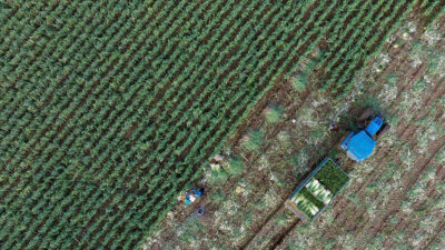 Tarım sektörü, geçen yıl 35 milyar doları aşan dış satımla