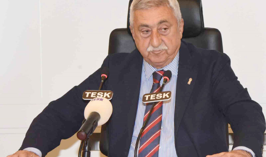 Türkiye Esnaf ve Sanatkarları Konfederasyonu (TESK) Başkanı Bendevi Palandöken, taksici