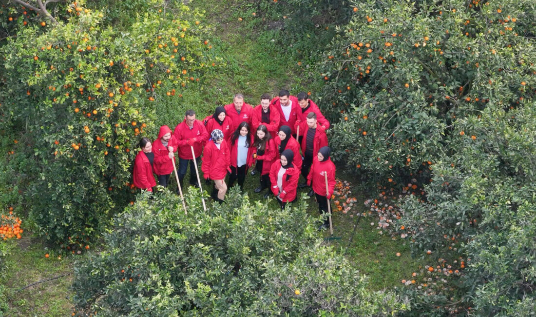 Genç gönüllüler, narenciye hasadına yardım ediyor Gençlik ve Spor Bakanlığı’nın organizasyonunda bir araya gelen gönüllü gençler,