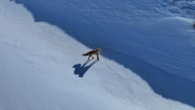 Trabzon’un Çaykara ilçesindeki Uzungöl’de dronu ile yaylaların ve dağların görüntülerini
