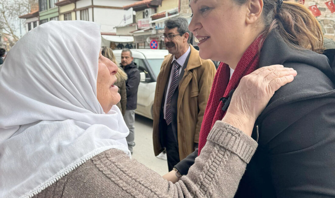 CHP Grup Başkanvekili, Afyonkarahisar Milletvekili ve Afyonkarahisar Belediye Başkan Adayı