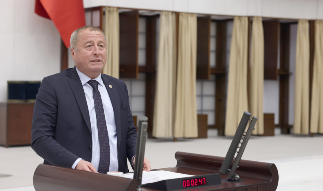 İYİ Parti Seçim ve Hukuk İşlerinden Sorumlu Genel Başkan Yardımcısı