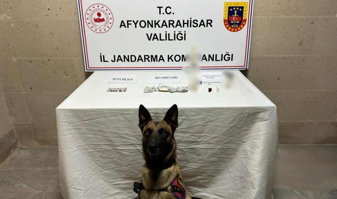 Afyonkarahisar İl Jandarma Komutanlığı Kaçakçılık ve Organize Suçlarla Mücadele Şube